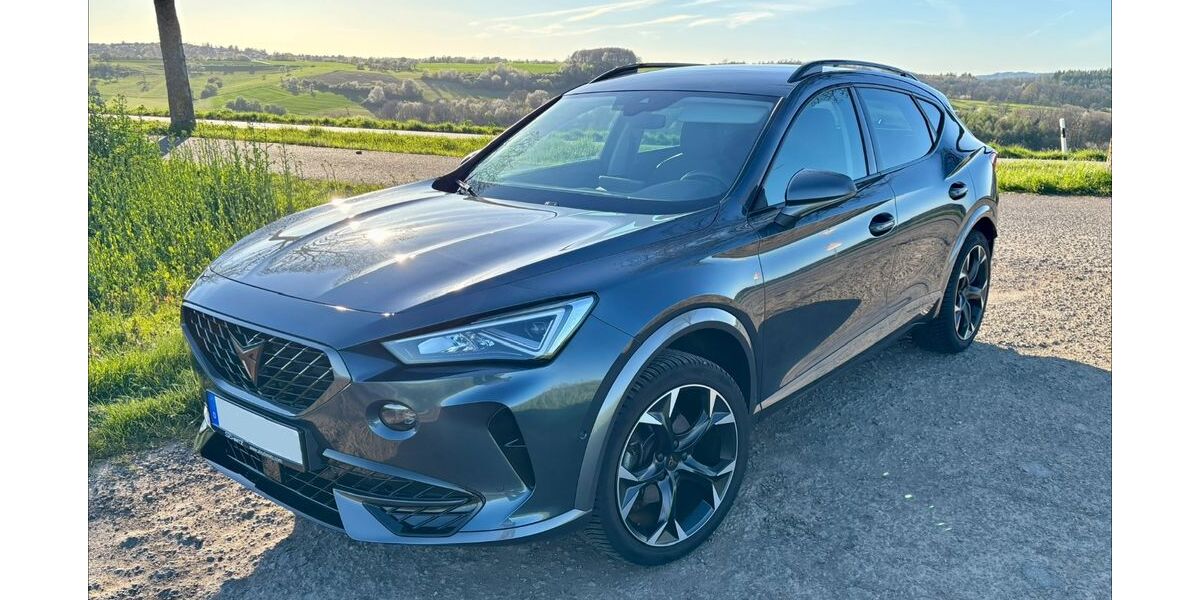 Cupra Formentor 29.760 km 25.690 &euro; Blieskastel 66440