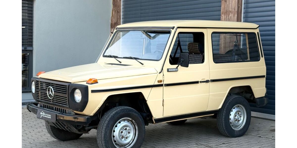 Mercedes-Benz G 300 85.800 km 20.999 &euro; Saarlouis-Lisdorf 66740