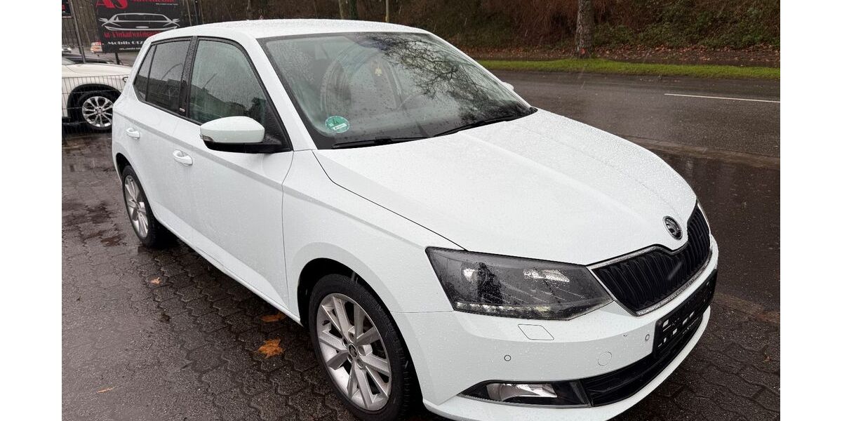 Skoda Fabia 95.000 km 7.990 &euro; Lebach 66822