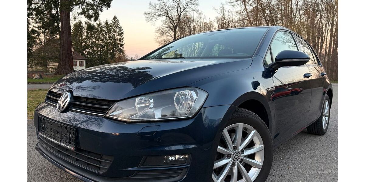 VW Golf 212.696 km 7.300 &euro; Bildstock 66299