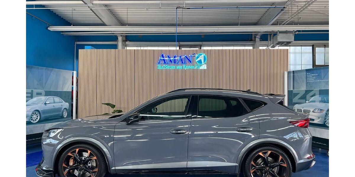 Cupra Formentor 166.900 km 24.999 &euro; Beckingen 66701