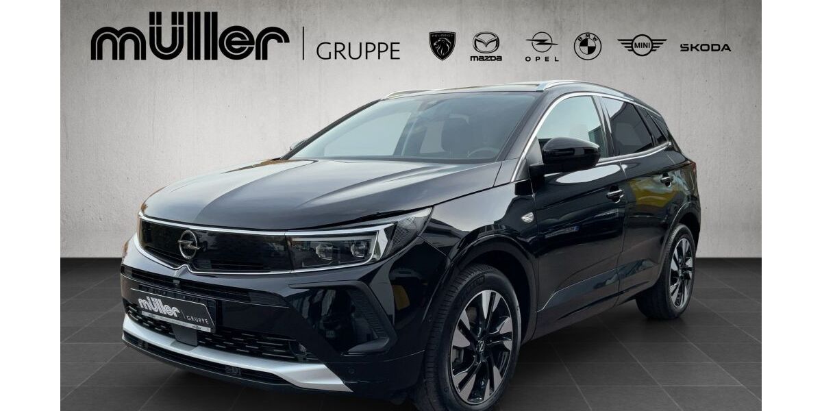 Opel Grandland (X) 20.272 km 24.990 &euro; Dillingen 66763