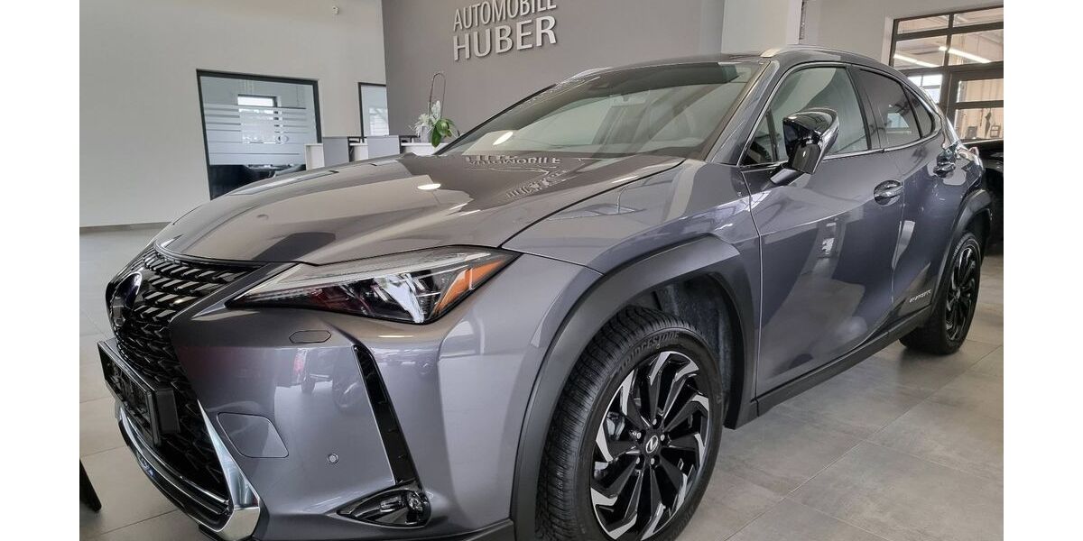 Lexus UX 18.664 km 22.900 &euro; Nalbach 66809